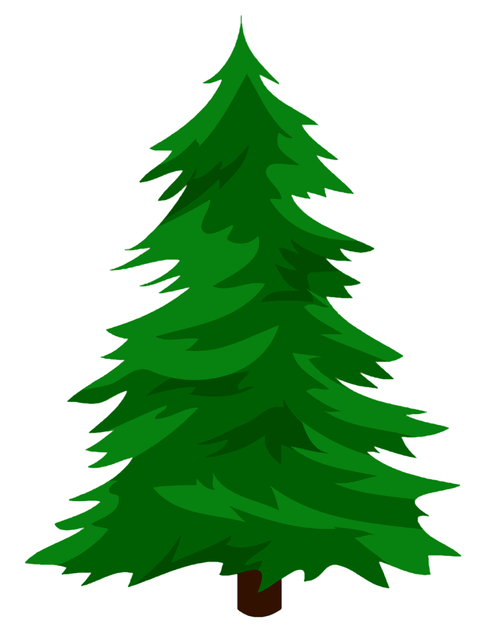 Pine